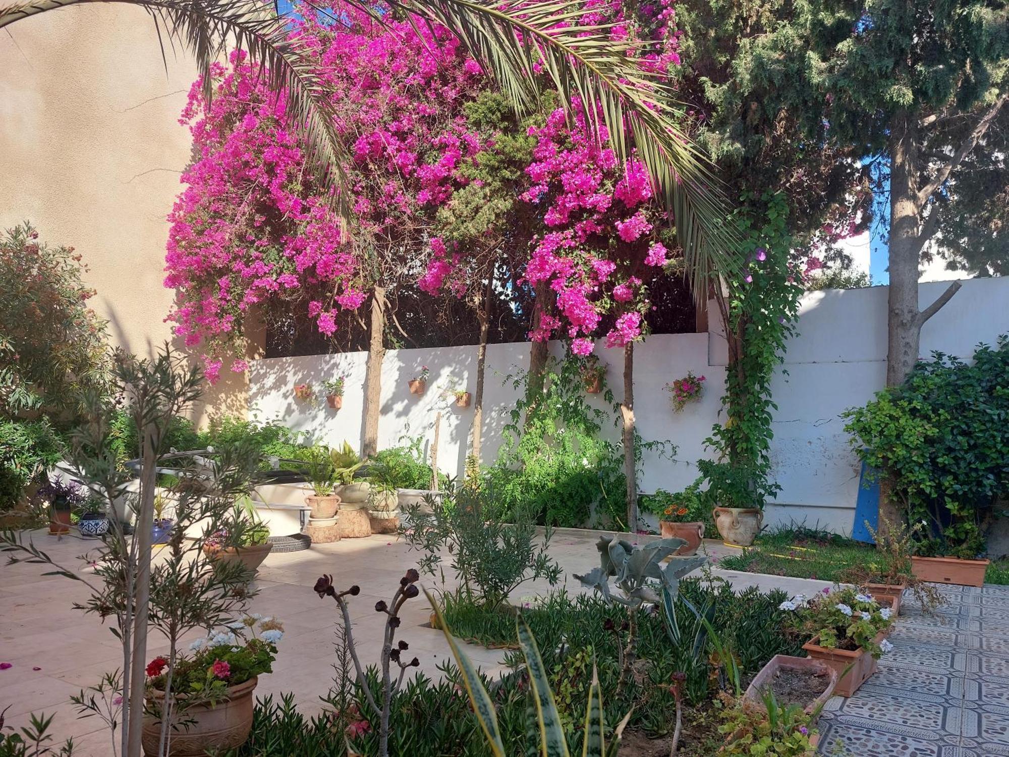 Villa Azaiiza Sousse Exterior foto